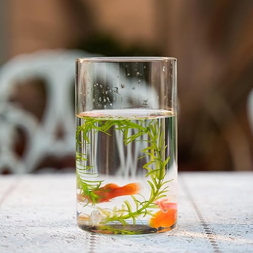 Miniatura 7 de Devilfire Jarrones cilíndricos de vidrio transparente de 6 pulgadas de alto, paquete de 6 jarrones de centro de mesa, portavelas flotante para