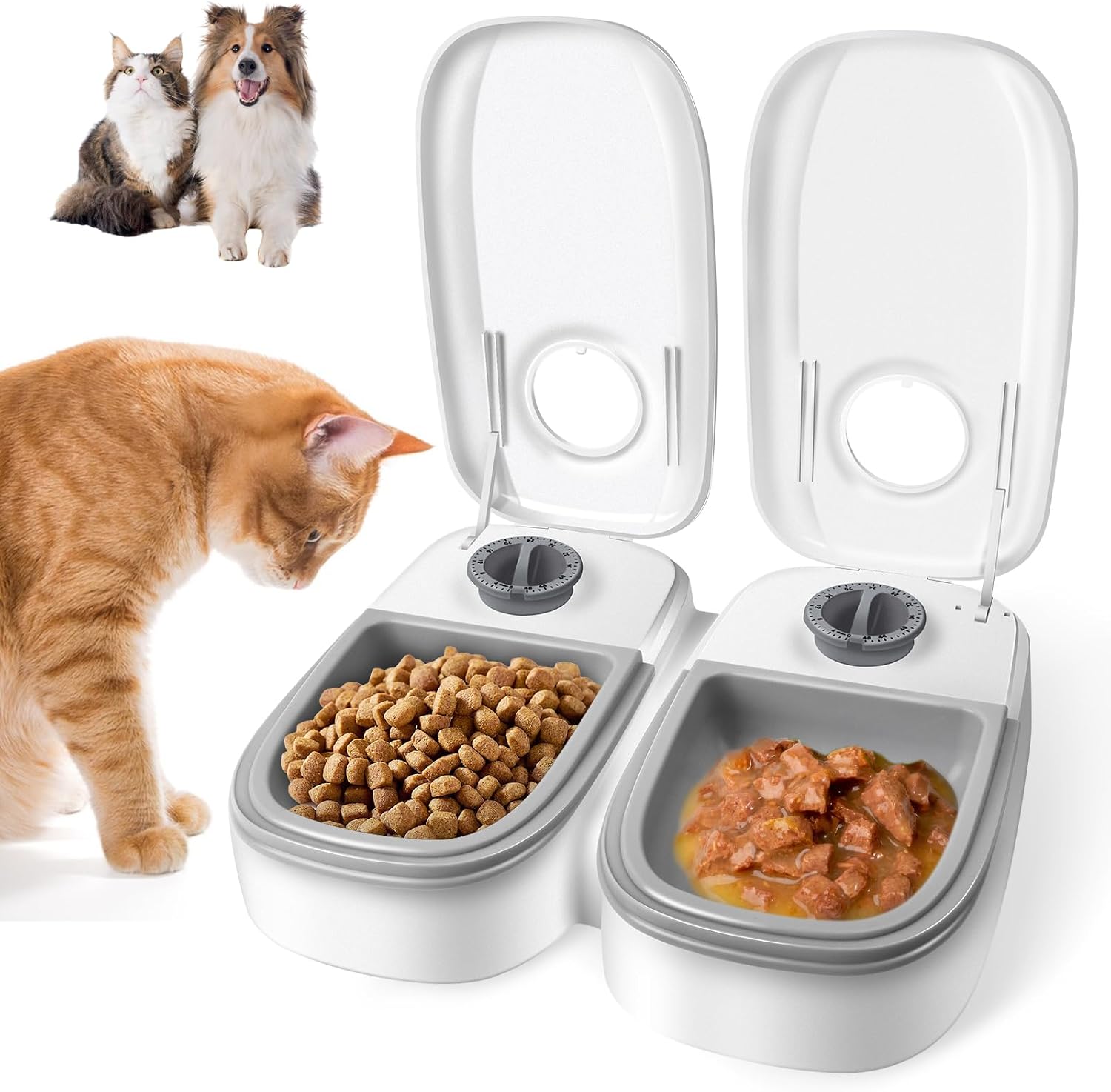 Illustration of Cat Food Timer Dispenser System