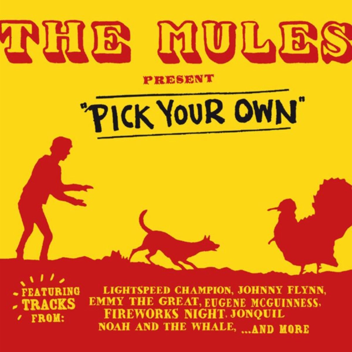 Johnny Flynn & the Sussex Wit