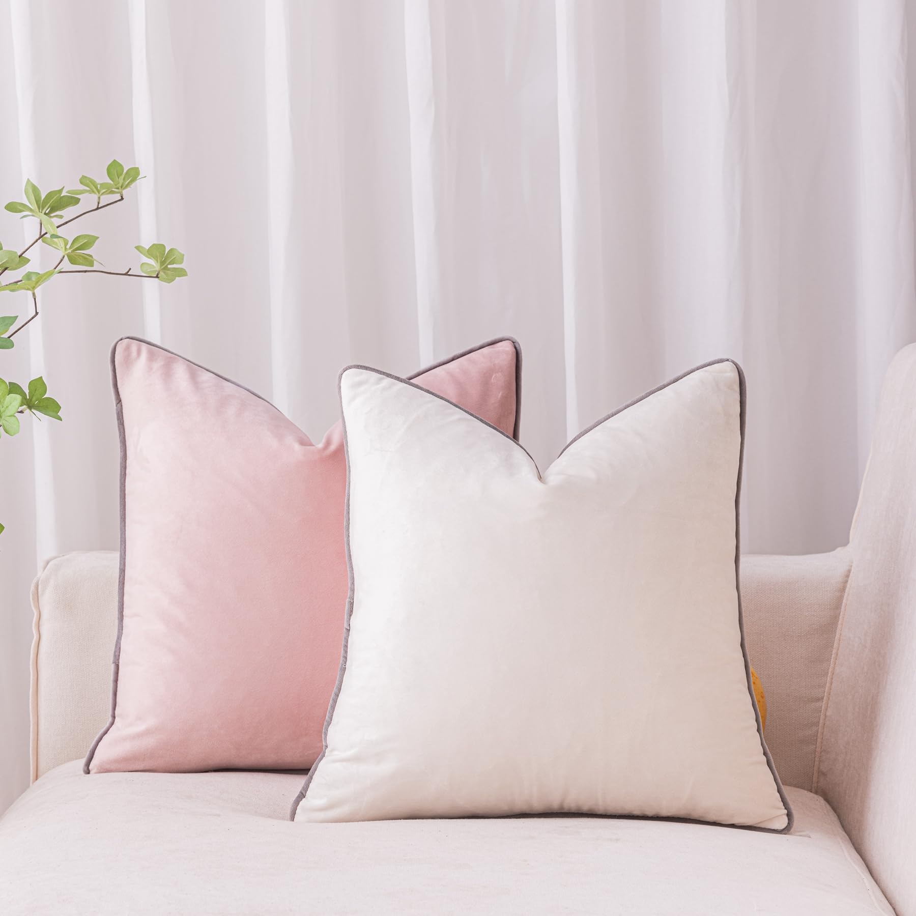 LIGICKY Set of 2 Velvet Throw Pillow Covers Modern Minimalist Style Solid Decorative Black Rope Edging Soft Square Cushion Cases for Sofa Bedroom Party Décor