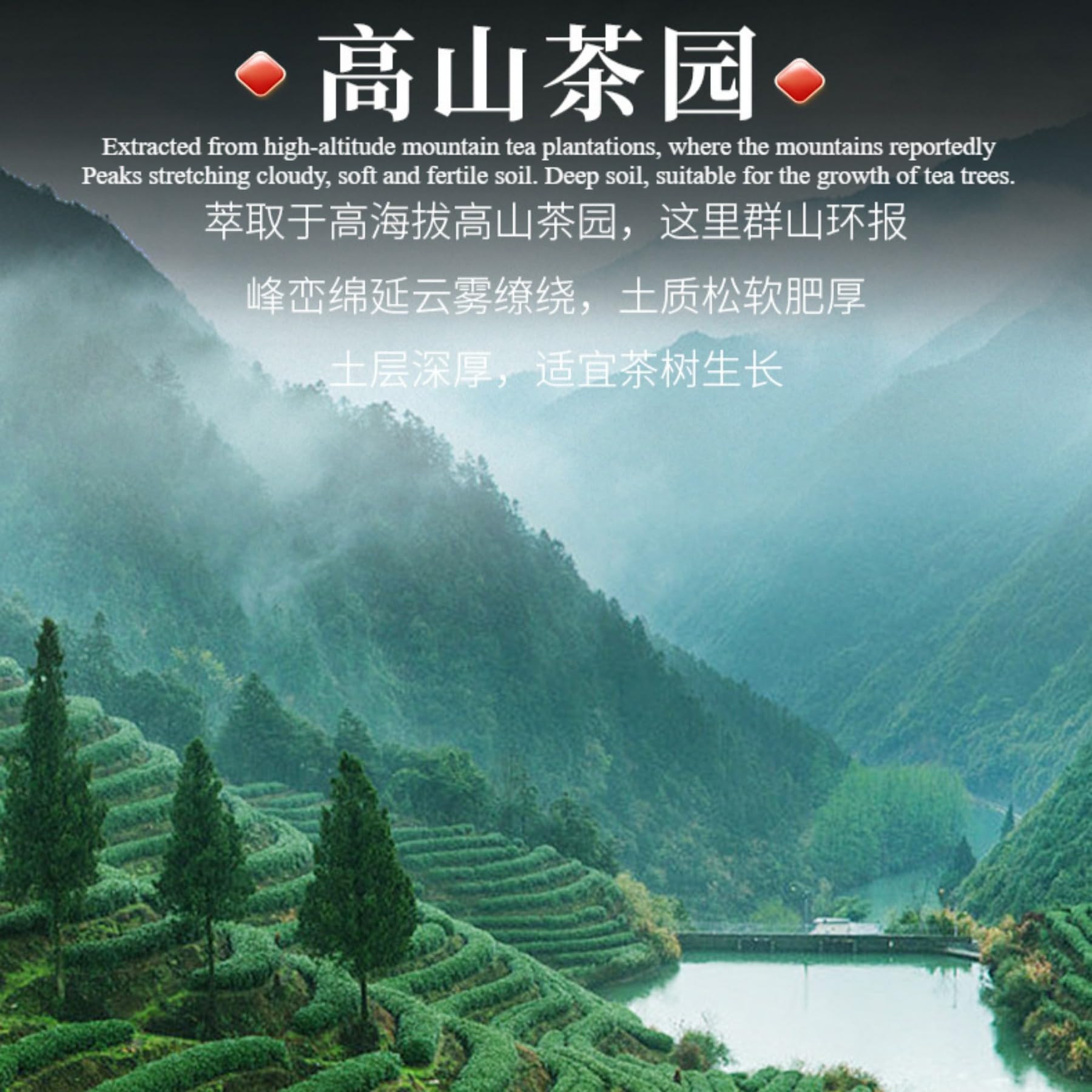 Artisanat Traditionnel Pu’er Mûr Thé En Vrac, Thé Pu’er Au Parfum Puissant d’agrumes 250g*2