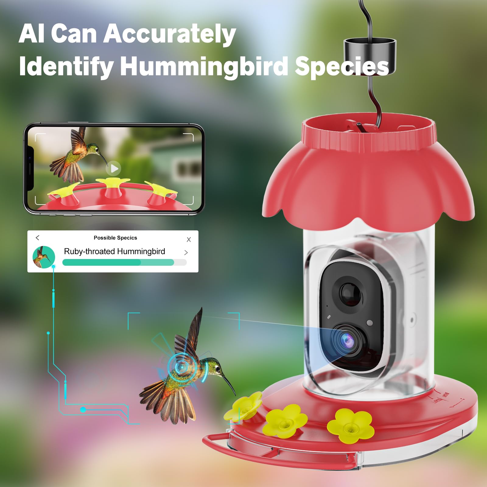 https://m.media-amazon.com/images/I/71pbzFORBRL.jpg