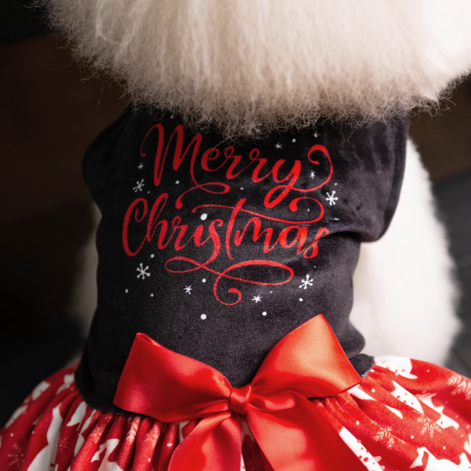 christmas puppy dress CuteBone Merry Dog Velvet for Small Dogs Girl Reindeer Dresses Red Dog Clothes : Pet Supplies Flowy Cute A-line Blue This beautiful red velvet off-duty-glow Size:24 (ADD +$10)