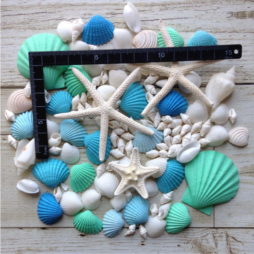 Amazon.co.jp: 貝殻 貝殻セット インテリア 青 ヒトデ ブルー ハワイ