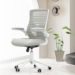 Ergonomic Office Chair for Long Hours & Lower Back Pain Relief – Memory Foam Seat Cushion, Adjustable Padded Lumbar Support, and Padded Flip-up Armrests, Ideal for Office or Study, Light Gray