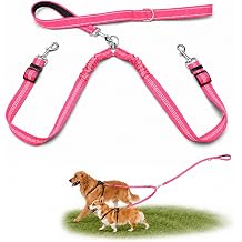 Double Dog Leash for Two Dogs, Complete Set with 31.5" Main Leash + Adjustable Splitter, Padded Handle, D-Ring, 360 Swivel, Shock-Absorbing Bungee, Reflective for Small Medium Large Dogs Pink