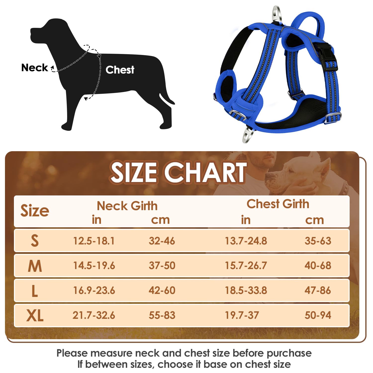 Eyein Dog Harness Small Dog, Anti Pull Adjustable Heavy Duty Pet Vest Harness with 2 Clips, Easy Control Escape Proof Puppy Harness with Soft Padded Handle Reflective for Outdoor Training Walking, S - Image 2