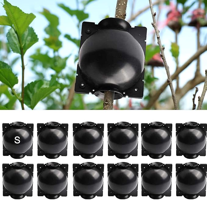 RIZTGAE 20pcs Propagation Stations Air Layering Pods