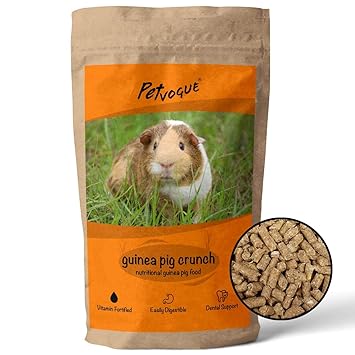 PetVogue Guinea Pig Premium Food (ISO 9001 Certified) (Pack-900gm)