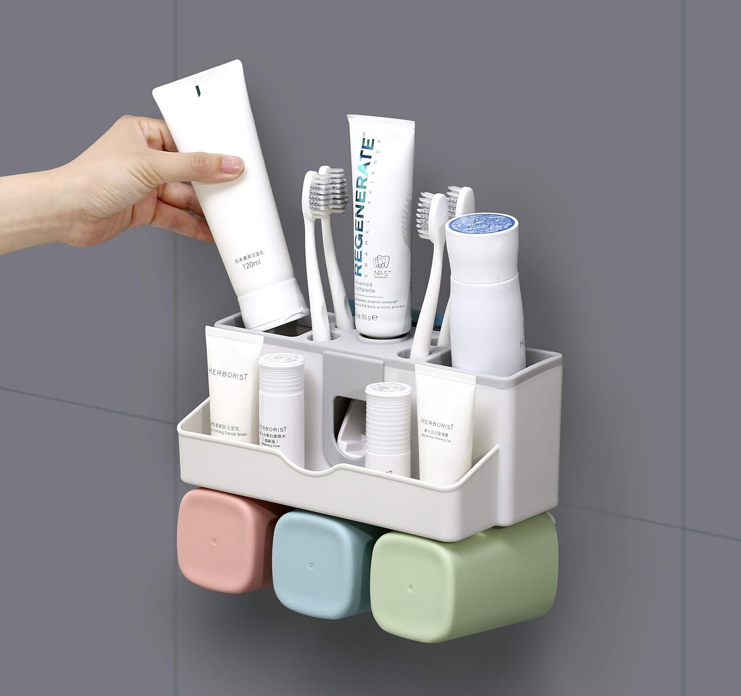 Buy Wall Mounted Toothbrush Holder