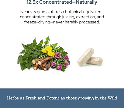 Eclectic Herb - Lymph & Blood Cleanse Capsules | Lymphatic & Circulatory Support | Freeze Dried, Concentrated Herbal Supplement | Natural, Wildcrafted, Non-GMO, Gluten Free, Vegan (45 CT | 285 mg)