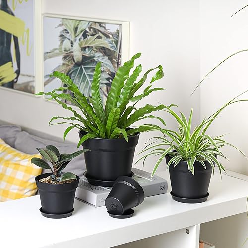 Miniatura 8 de T4U Macetas de 6 pulgadas paquete de 18 unidades maceta pequeña de plástico con agujero de drenaje y platillo maceta decorativa para guardería a