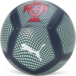 PUMA , Unisex-Adult, FPF Graphic Ball, Persian Blue-Light Blue, Fan Balls, 5, (8453704) Price In India