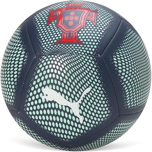 PUMA , Unisex-Adult, FPF Graphic Ball, Persian Blue-Light Blue, Fan Balls, 5, (8453704)