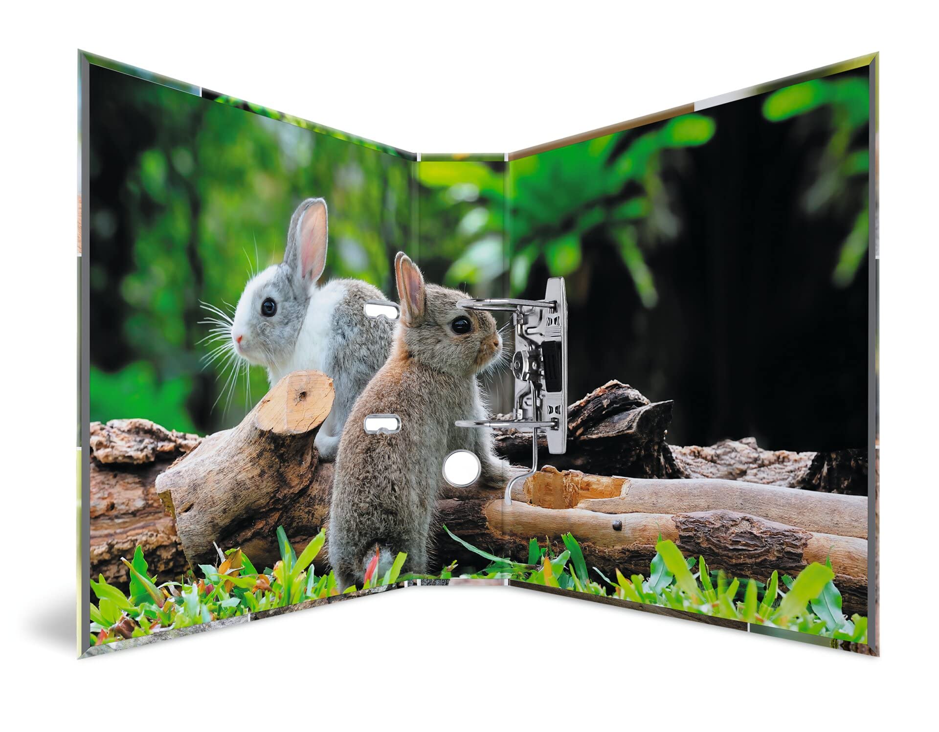 HERMA Raccoglitore a leva, motivo: animali con motivo roditori, dorso, 70 mm, confezione da 10