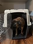 Review Image by Montana girl