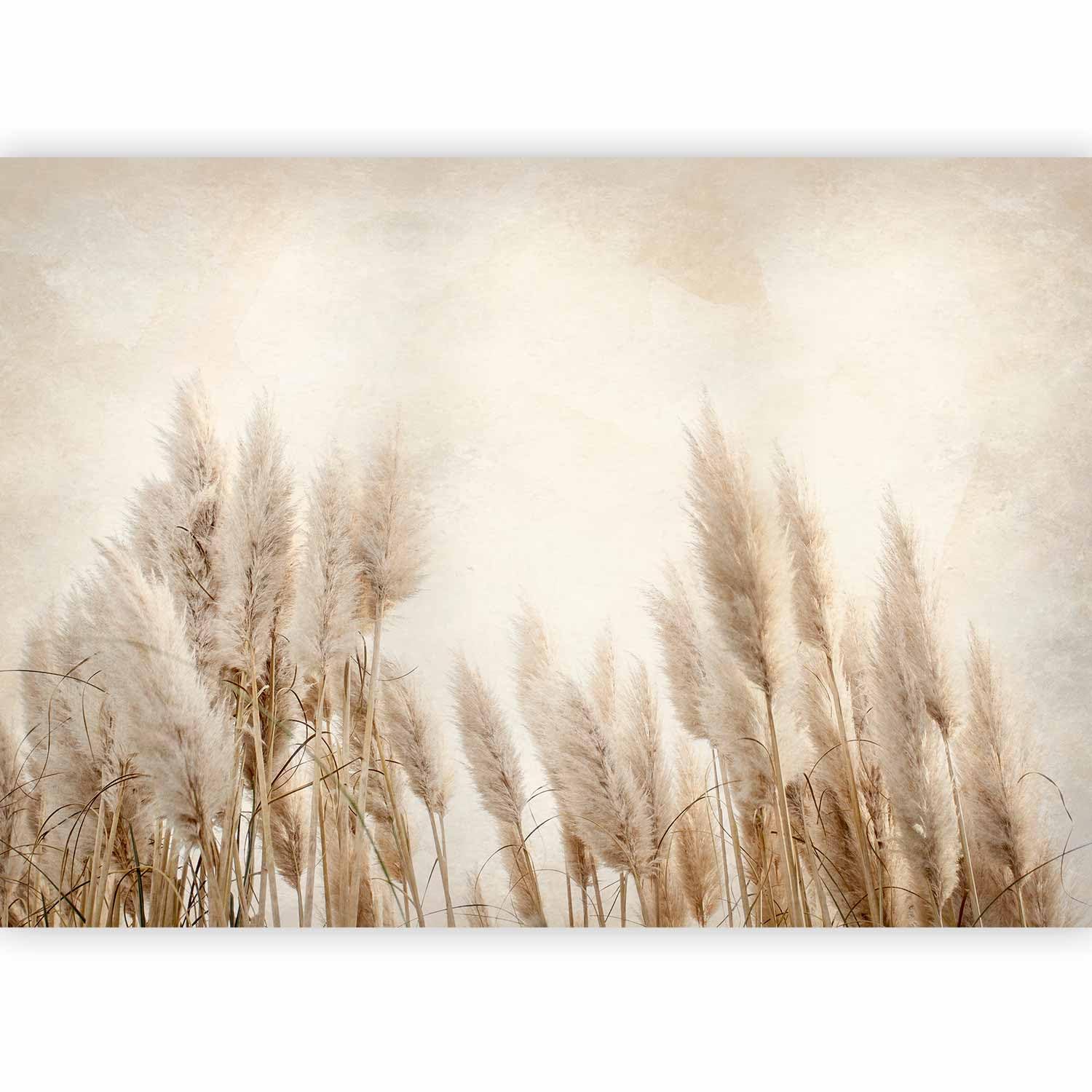 artgeist-wall-mural-pampas-grass-96x69-in-peel-and-stick-self-adhesive-wallpaper-removable-large-sticker-foil-wall-decor-print-picture-image-design-nature-dried-flowers-plants-b-a-10095-a-a-amazon-com