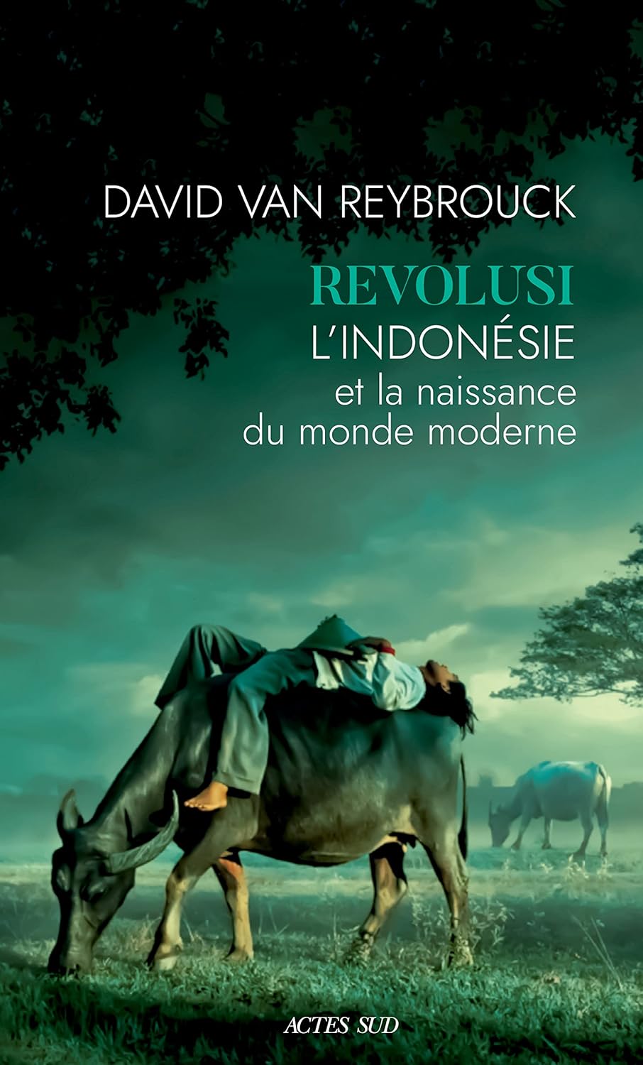 Revolusi L'Indonésie et la naissance du monde moderne (French Edition) eBook Van Reybrouck Revolusi L'Indonésie et la naissance du monde moderne (French Edition) eBook Van Reybrouck