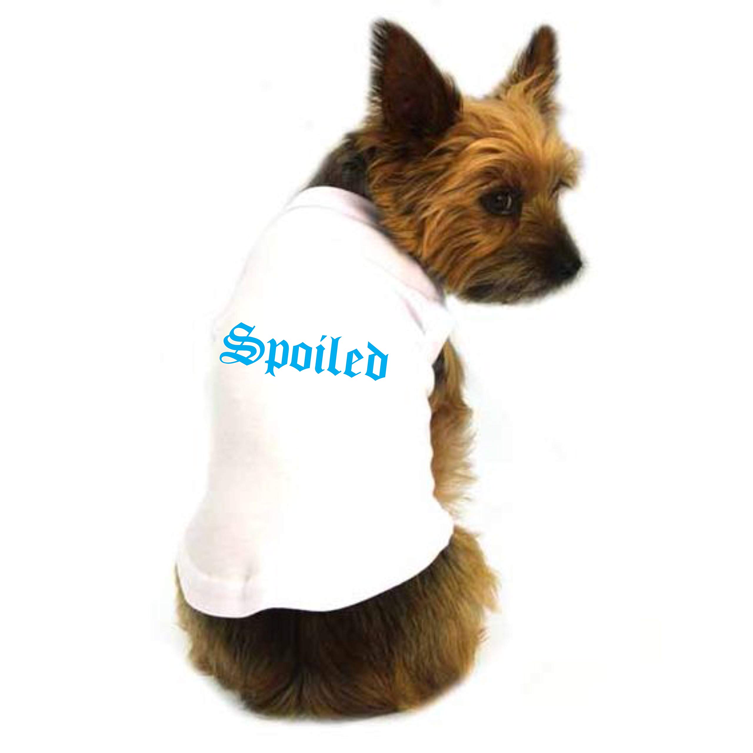 See full amazon price history chart for The Tee Shop Pet Clothing Collection Cool Funny Quote Printed Spoiled on Pet Dog Cat Comfortable T-Shirt The Tee Shop Pet Clothing Collection Cool Funny Quote Printed Spoiled on Pet Dog Cat Comfortable T-Shirt (B08RDWBJHR) Amazon Price History, Amazon Price Tracker