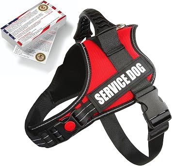 Just 4 Paws Service Dog Harness Jacket with Padded Handle, Adjustable Straps & 2 Removable Reflective Patches | Plus 50 ADA Information Cards 6 Extra Small, Red