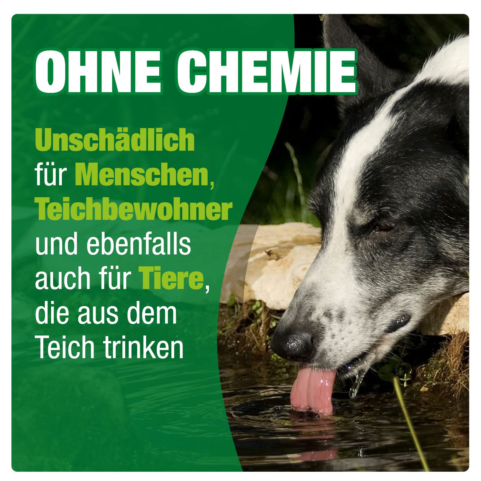 AQUALITY Gartenteich Herbst & Winter Komplett Spar-Set (1. Herbst- & Winterschutz - 2. Teichschutzsalz - 3. AQUABALLS - GRATIS: 4. Regenwasserschutz), Set-Größe:Set 5000