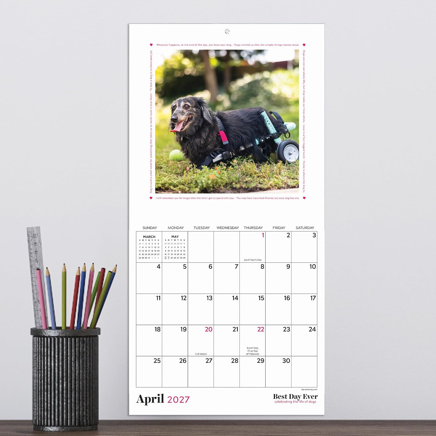 TF Publishing 2027 Dogs Mini Calendar - 7 x 7 inches image 5