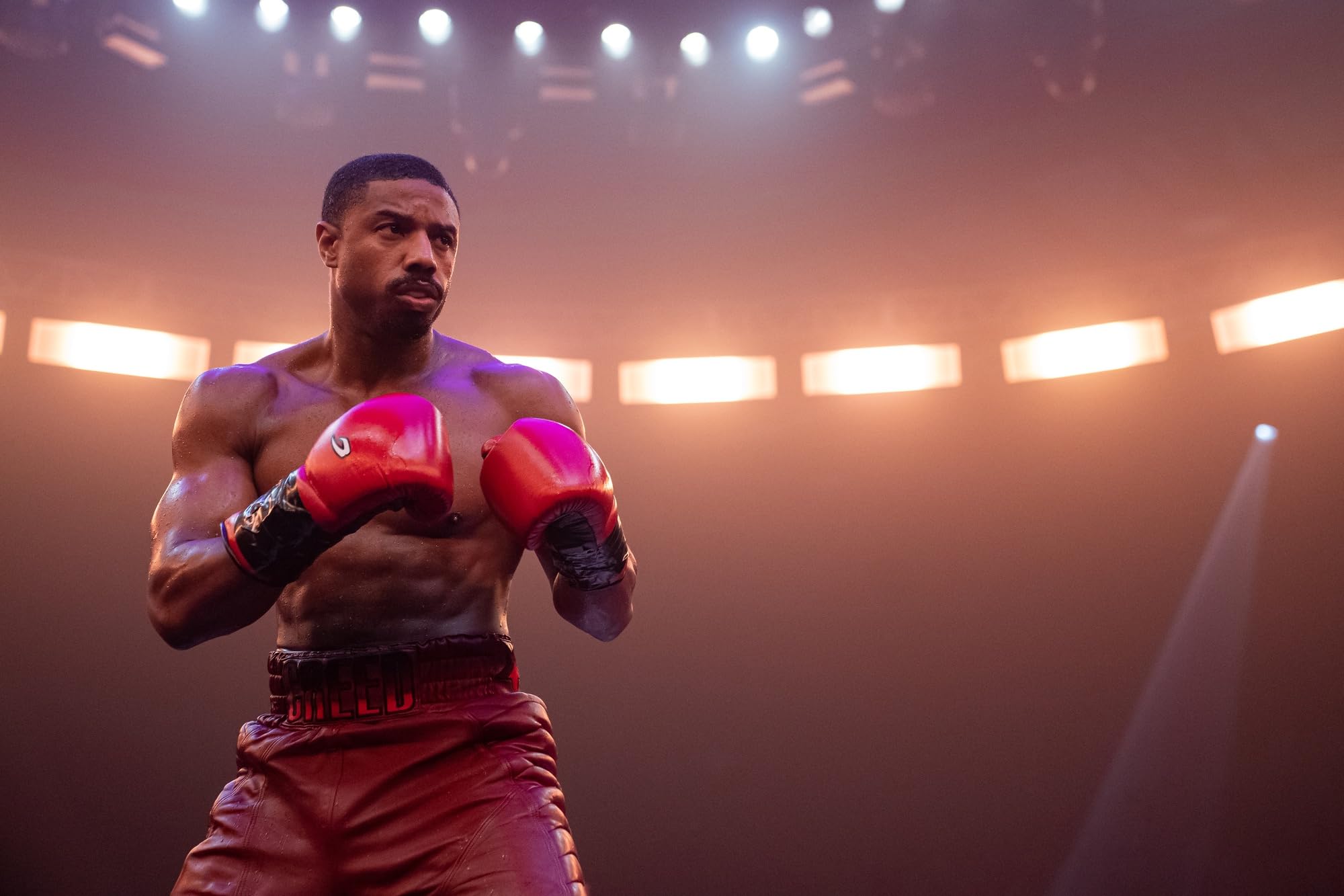 Rocky + Creed - L'intégrale 9 Films [DVD]