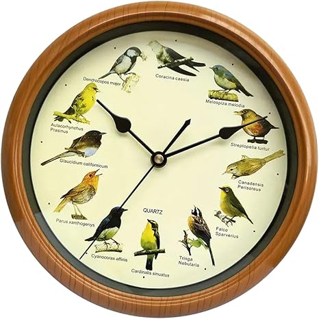Amazon.com: Bird Wall Clock Bird Clock with Sound That Sings on Hour ...