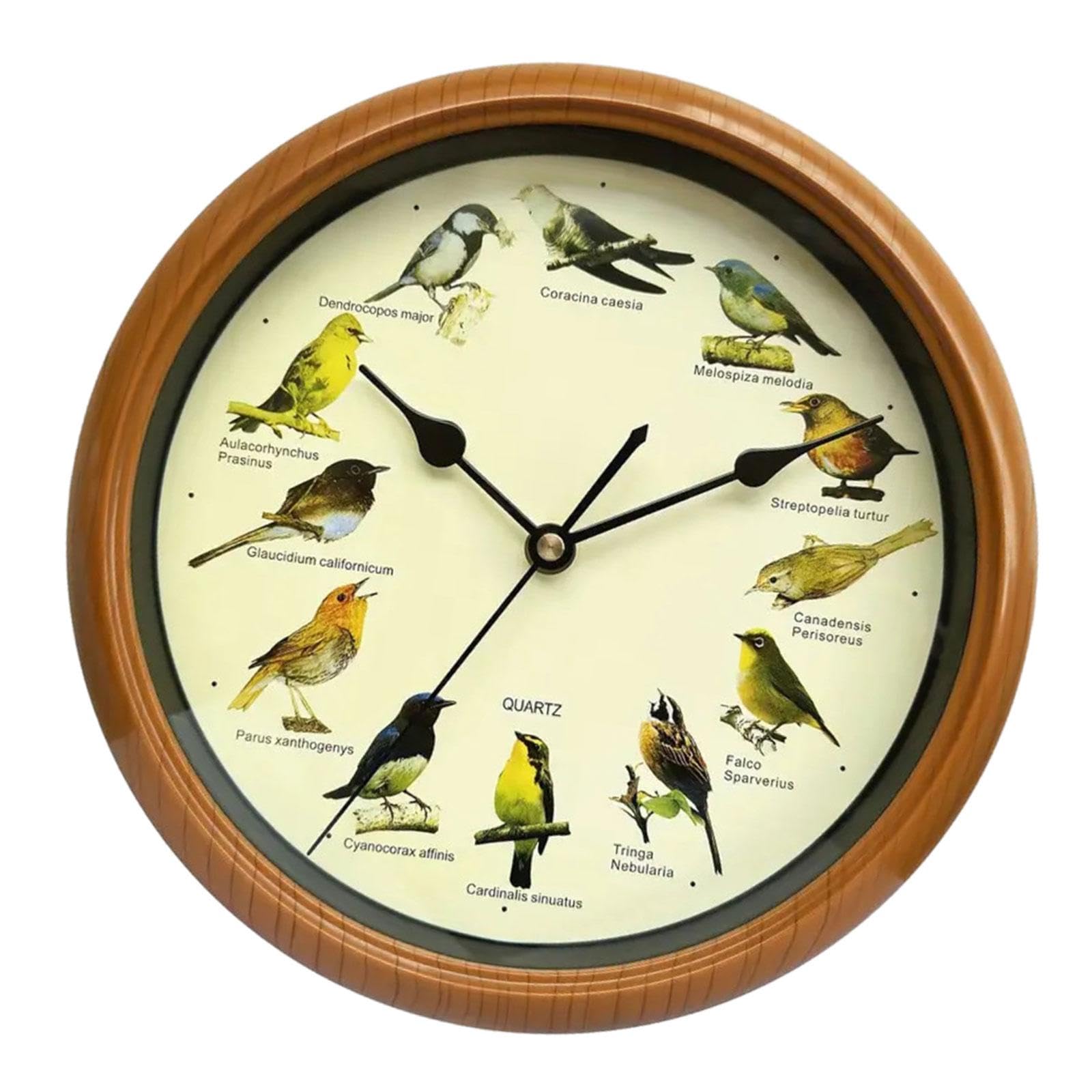 Bird Wall Clock Bird Clock with Sound That Sings on Hour,Silent Wall Hanging Clock,Decorative Wall Clock for Home Office