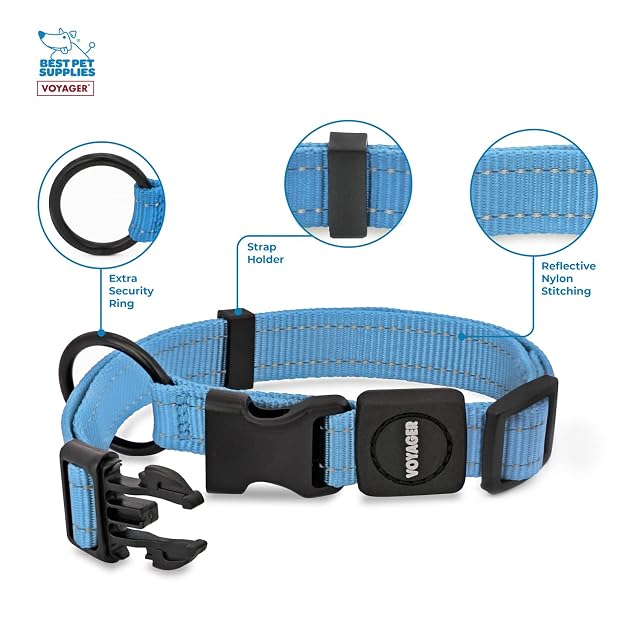 Foto 2 de 5 de Best Pet Supplies Collar para Perros, Reflectante, Longitud Ajustable, Hebilla Resistente, grillete Robusto