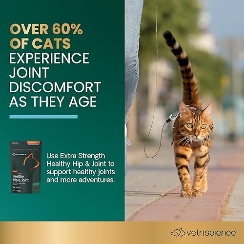 Vista 14 de VetriScience Masticables saludables para cadera y articulaciones, glucosamina GlycoFlex y mejillón de labios verdes suplemento de apoyo