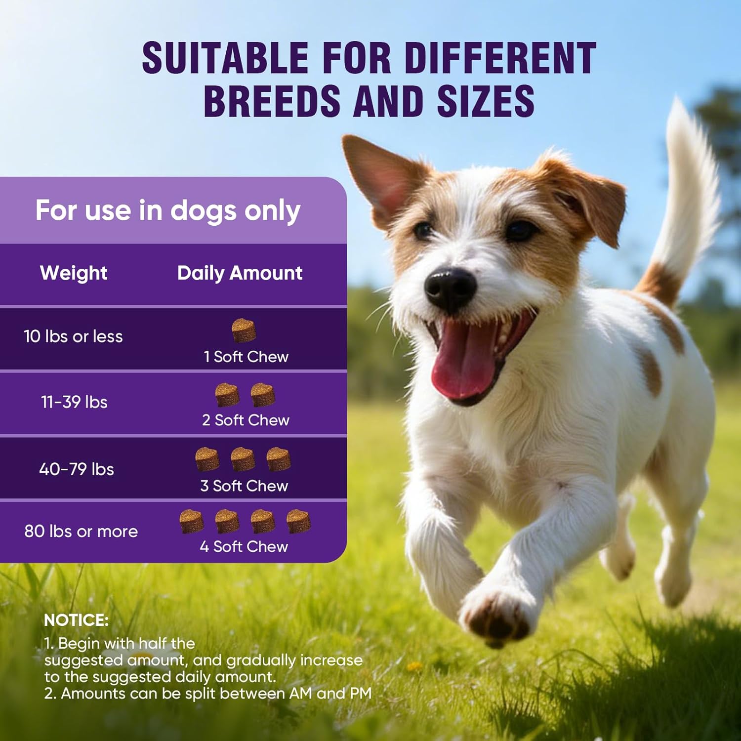 Allergy & Immune Support Chews for Dogs – Probiotics for Skin Health, 200 Count