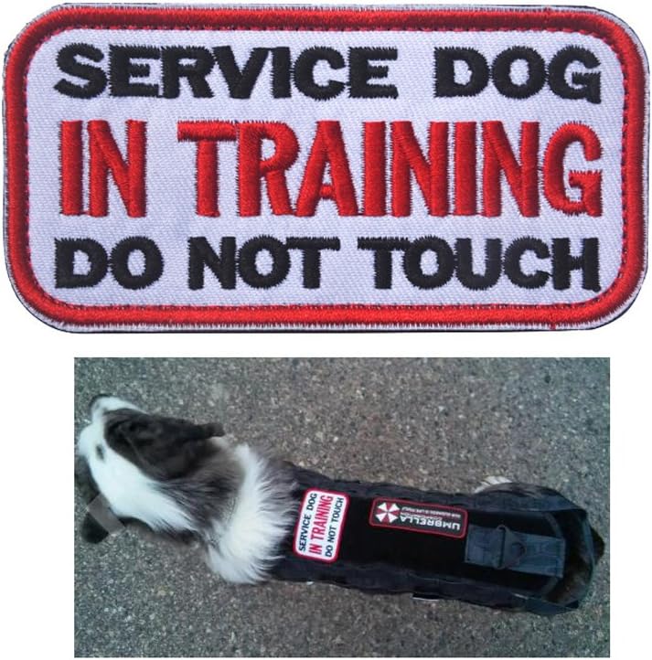 Ultrafun Service Dog Hook & Loop Fastening Tape Patch Pet Harness Vest - 2 X 3 Inches - Set of 2 (W-in Training)