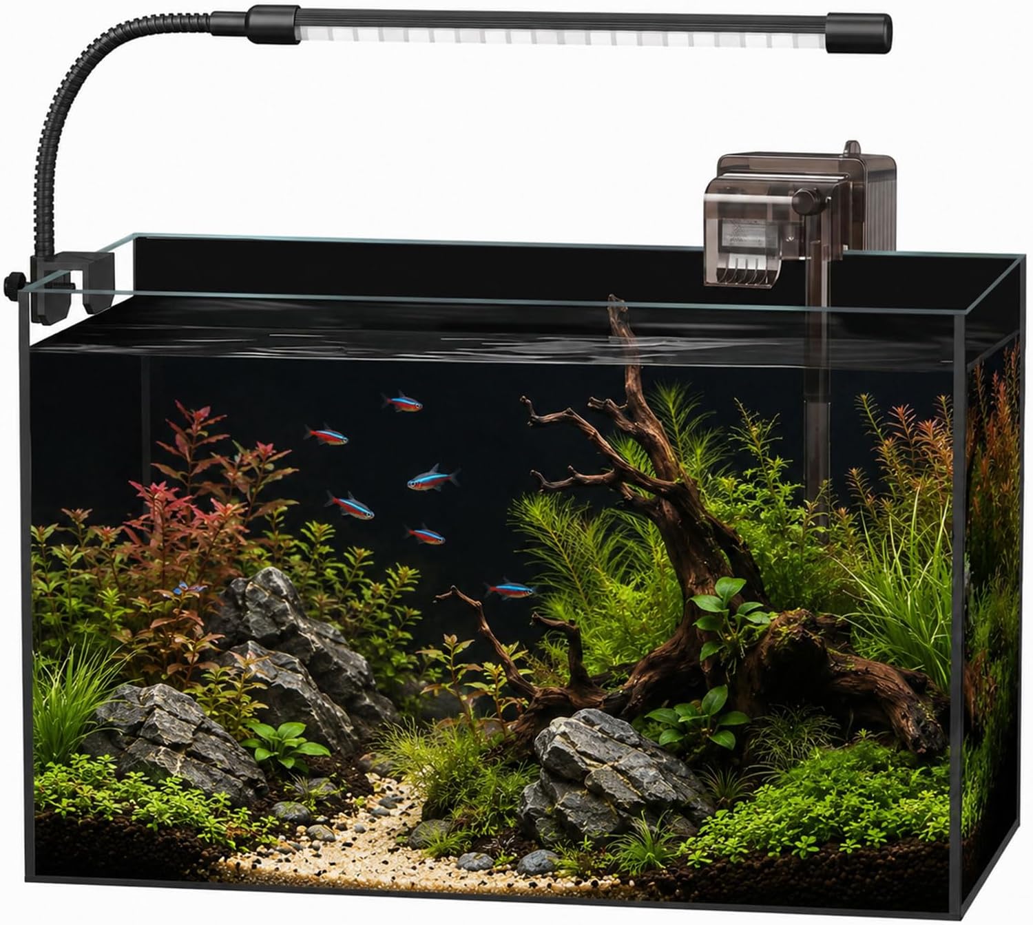 minilake 5 Gallon Glass Aquarium Starter Kit