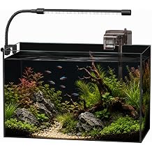 5 Gallon Glass Aquarium Starter Kit, Rimless Fish Tank