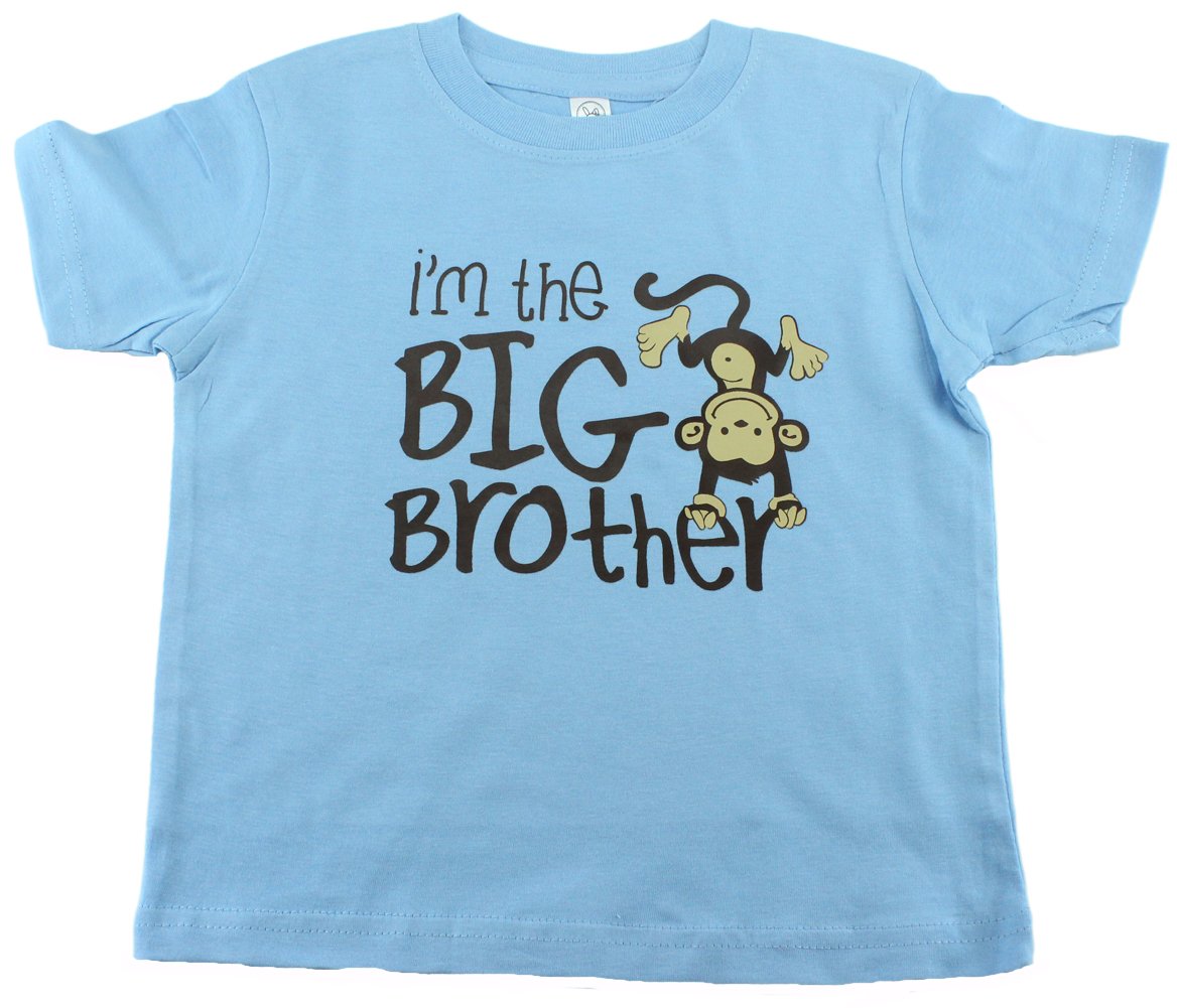 Baby Boys Big Brother, Little Brother Shirt, Big Brothers Rock Shirt