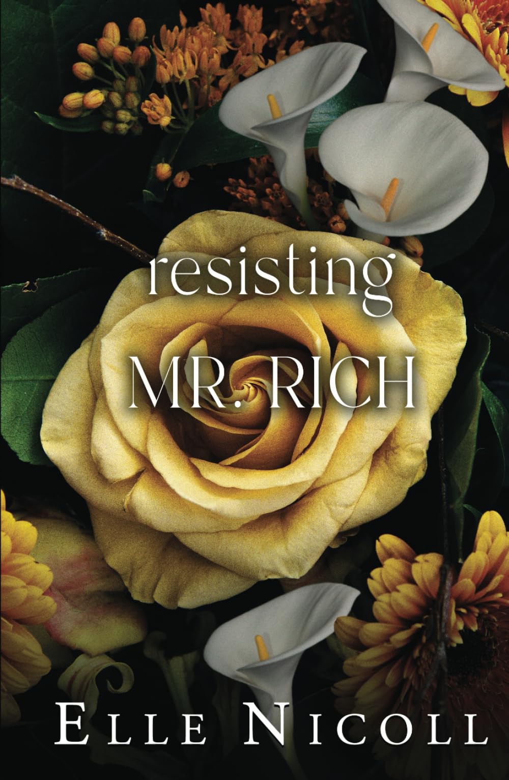 Resisting Mr. Rich (The Men Series - Interconnected Standalone Romances)