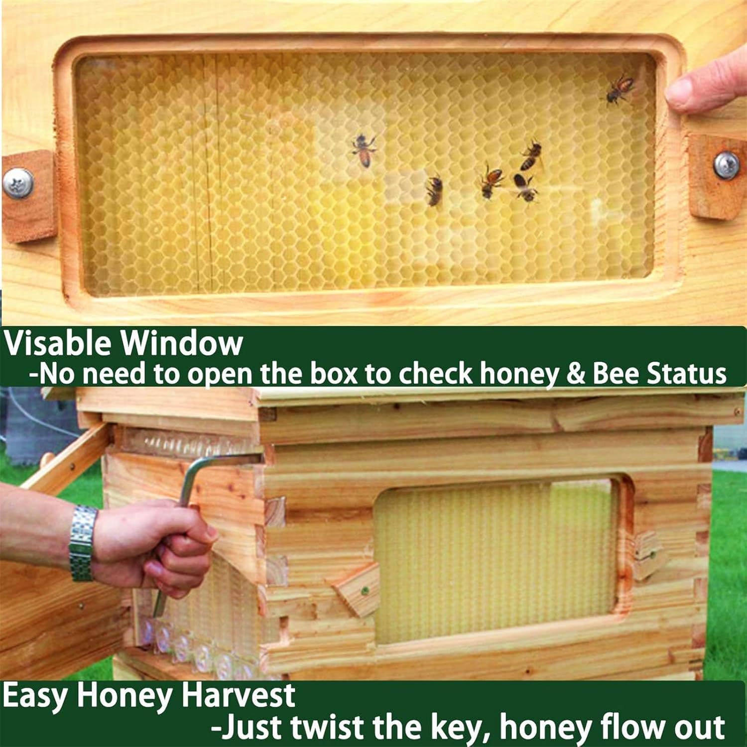 Beehive Kit with Observation Window, Automatic Self-Flowing Honey Bee Hive, Wooden Beekeeping Box for Beginners & Beekeepers - Perfect Beekeeping Equipment