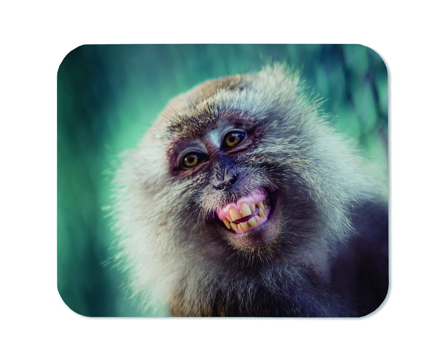 Yeuss Long-Tailed Monkeys Mouse Pad Rectangular Non-Slip Mousepad, Monkey Cute Smile Gaming Mouse Pads, Blue Grey,200mm x 240mm