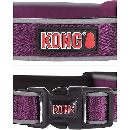kong dog collar