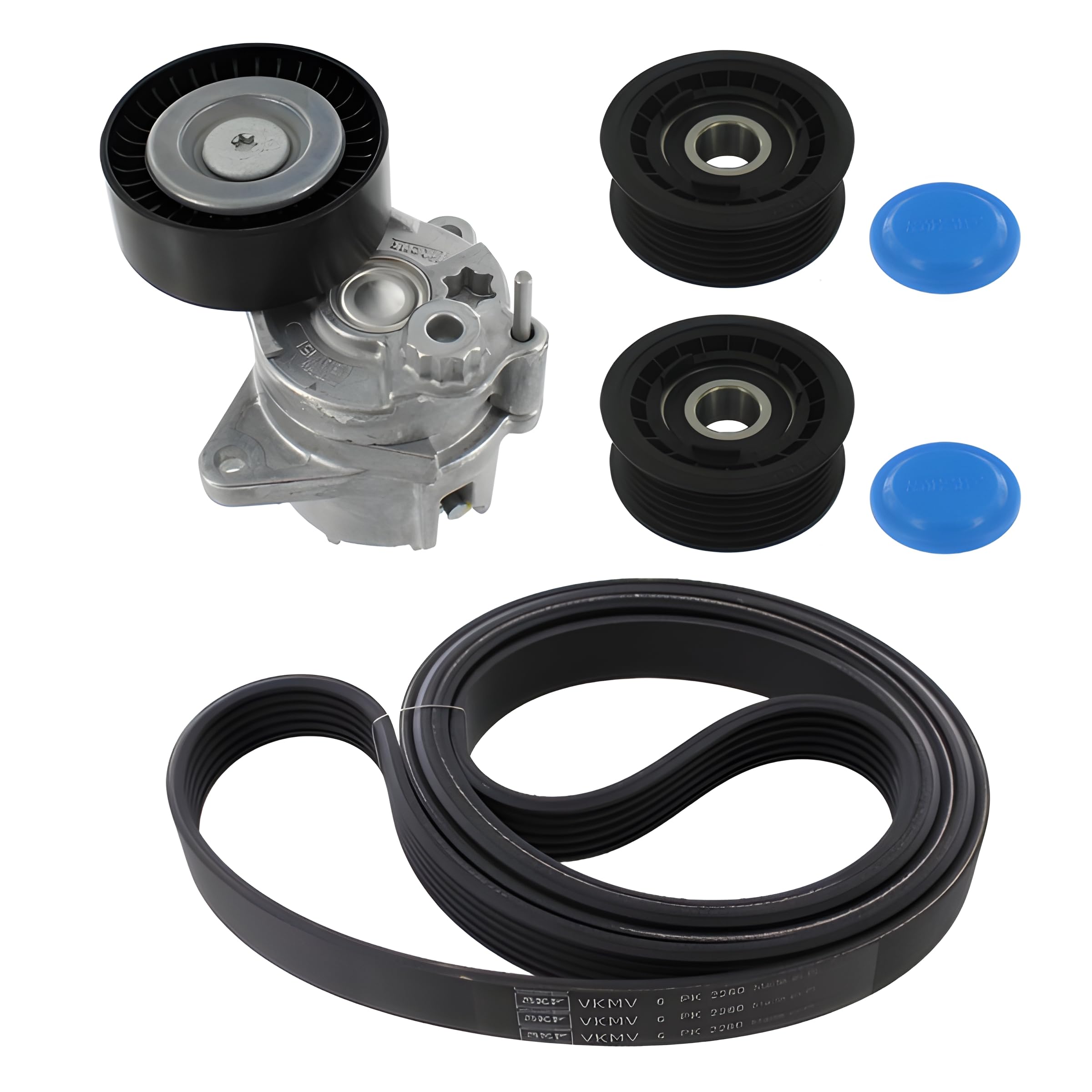 Drive Belt Kit VKMA38026 SKF Set 059903341A 059903341E 059903341J 078903137P New