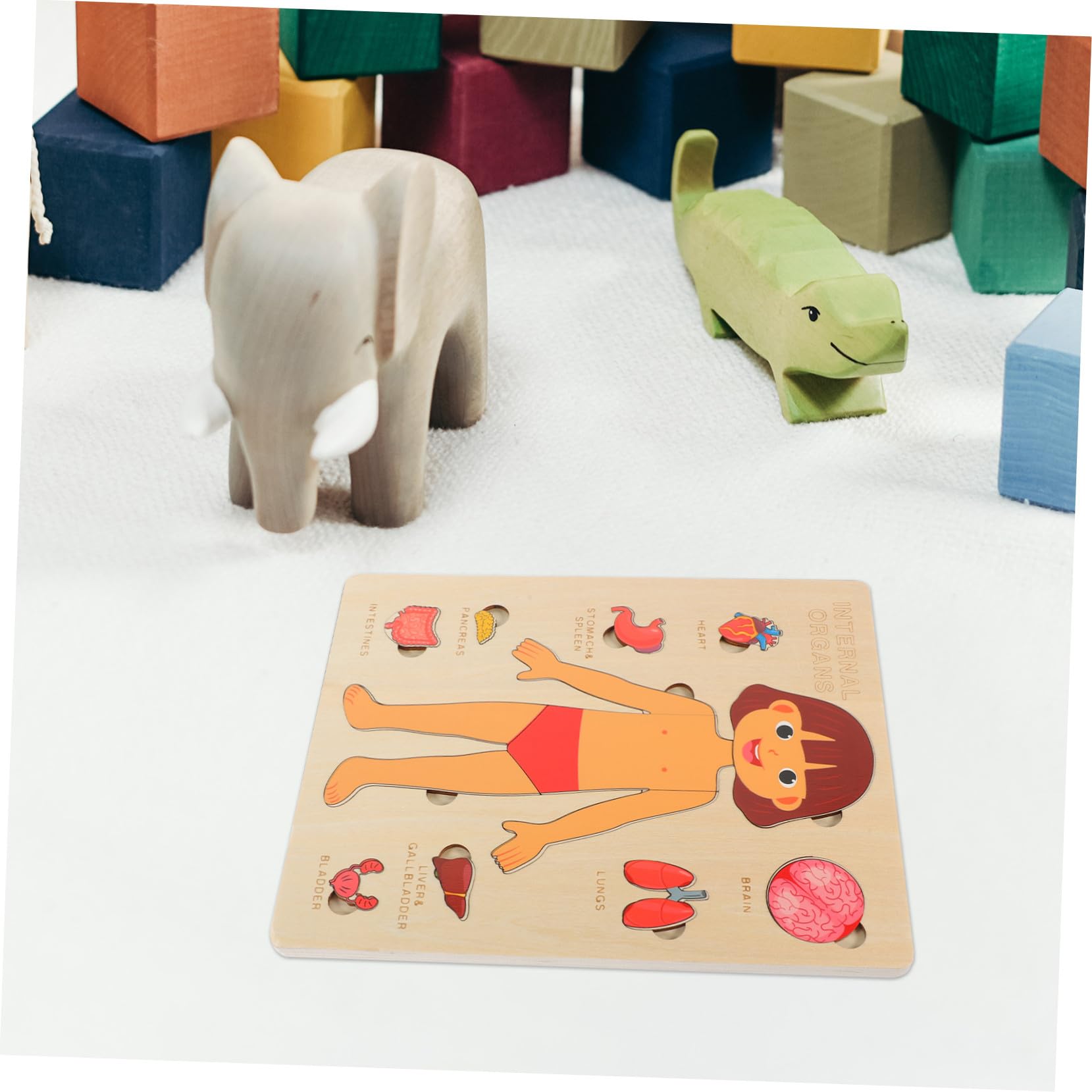 Puzzle Anatomia Umana in Legno per Gioco Educativo Organi del Corpo Didattico per Ragazzo e Aiuto Insegnamento Scuola Sviluppo Coordinazione e Memoria