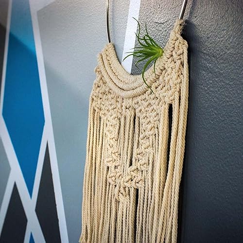 Miniatura 6 de Paquete de 5 aros de metal plateado (5 pulgadas), atrapasueños, macramé y manualidades