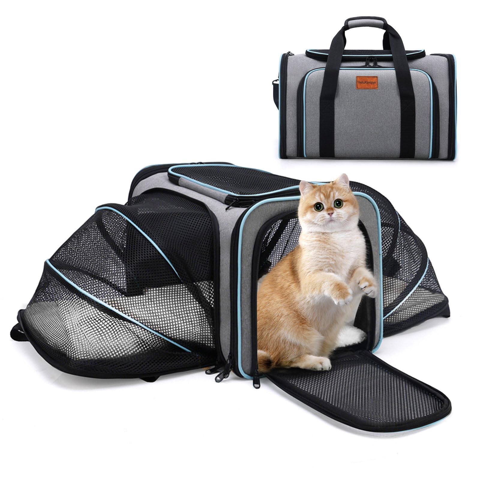 VeluXanipyr Expandable Pet Carrier,Airline Approved Soft-Sided Cat Dog Travel Bag with Hard Shell Base, Blue Trim, Removable Fleece Pad for Small Pets (Gray)