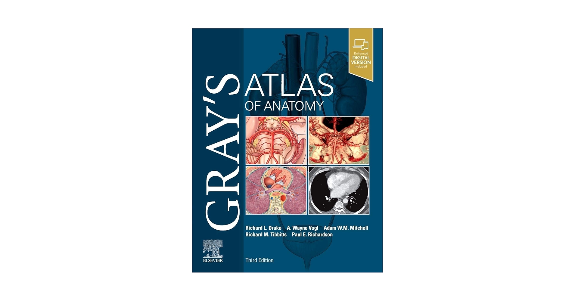 Gray's Anatomy 第39版 Gray's Anatomy, 39th Edition: The Anatomical Basis of