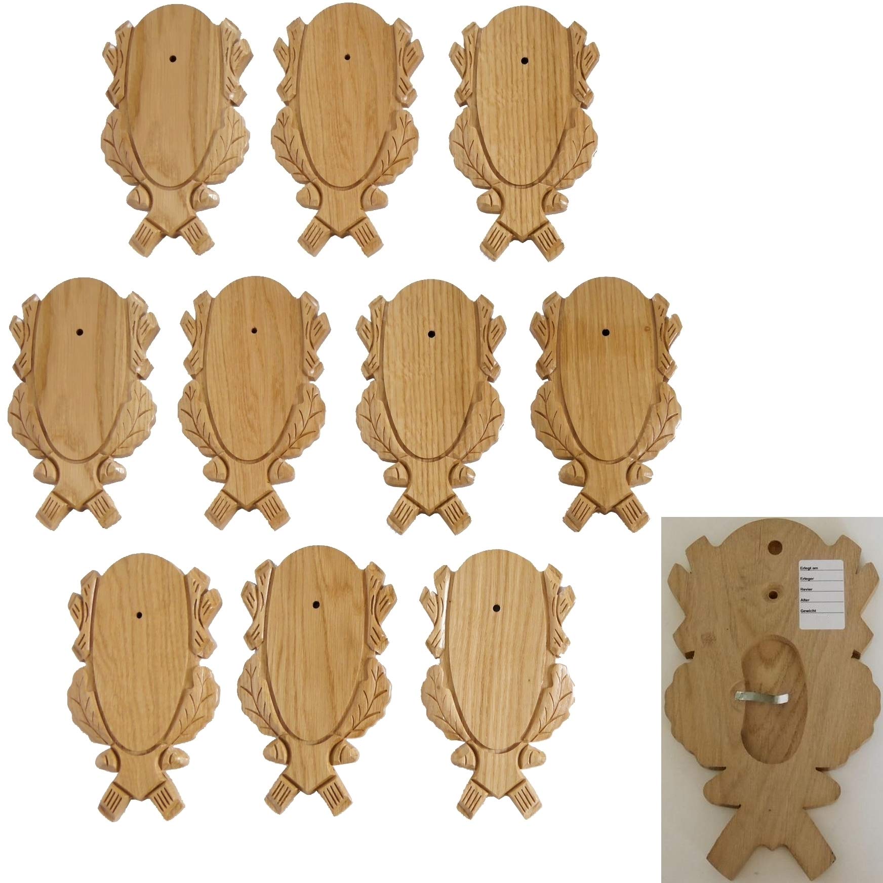 GTK – Hormigas y trofeo de madera KRUMH 10 unidades talladas REH Rehbock Trofeo Letreros luminosos con 1 compartimento de pino