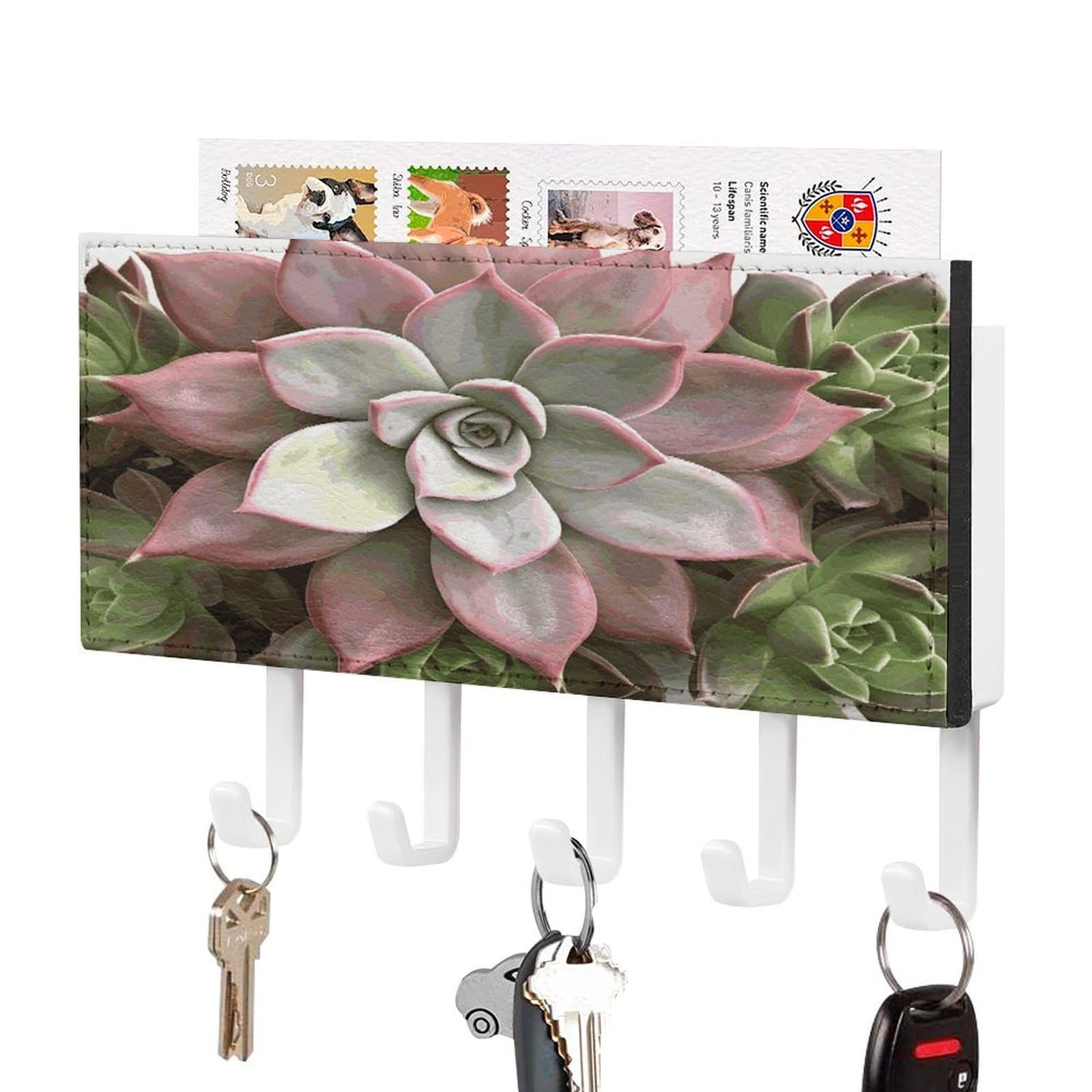 LDGSUPH Succulent Botanical Key Holder Wall Mount Key Hanger with 5 Hooks Fashion Key Organizer Rack Hanging Key Hooks with Mail Organizer Key Rack for Home Entryway Hallway White-Style