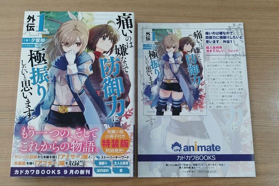 痛いのは嫌なので防御力に極振りしたいと思います。 外伝1