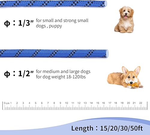 Vista 65 de Hi Kiss - Correa de entrenamiento para perros de 15, 20, 30, 50 o 100 pies, para entrenamiento de agilidad, obediencia y recuperación, jugar, Azul