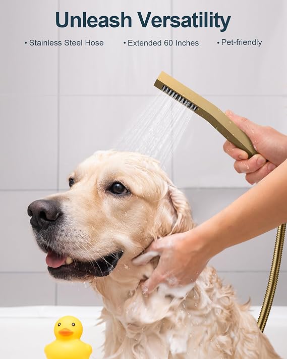 10-Inch Shower System with Handheld and Slide Bar, Brushed Gold